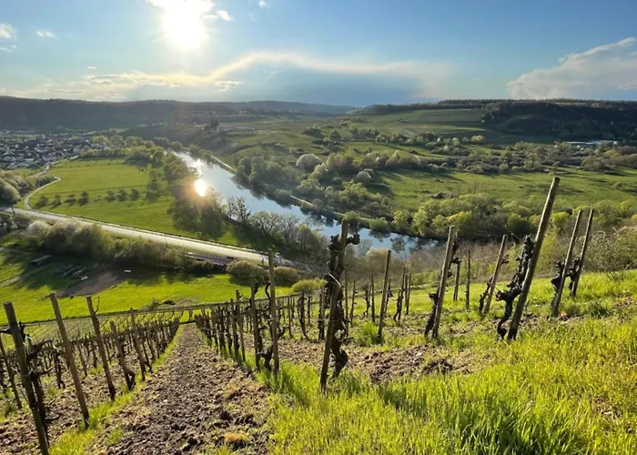 Urlaub-weinhofherrenberg 2 Appartement Schoden